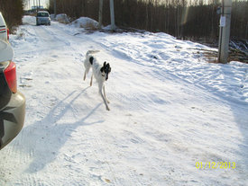 100_4336.JPG