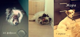 10155620_1435869189985215_2067250635908173007_n.jpg (53.28 КБ, Просмотров: 2635) 10155620_1435869189985215_2067250635908173007_n.jpg