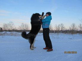10408919_418509888326642_2285235481478004653_n.jpg (50.24 КБ, Просмотров: 1841) 10408919_418509888326642_2285235481478004653_n.jpg