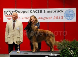 10734137_940634995965781_2505161835408411187_n.jpg (58.67 КБ, Просмотров: 1841) 10734137_940634995965781_2505161835408411187_n.jpg