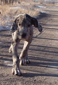 10a.jpg (161.69 КБ, Просмотров: 1442) 10a.jpg