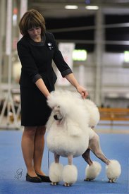 116253697_663770757545915_1348049478706559272_n.jpg (118.66 КБ, Просмотров: 9257) 116253697_663770757545915_1348049478706559272_n.jpg