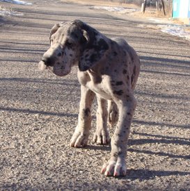 11a.jpg (199.3 КБ, Просмотров: 1442) 11a.jpg