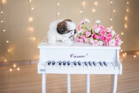 12669578_1954809044745278_7075897130253167086_n.jpg (47.43 КБ, Просмотров: 1168) 12669578_1954809044745278_7075897130253167086_n.jpg