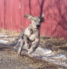 12f.jpg (175.68 КБ, Просмотров: 1442) 12f.jpg