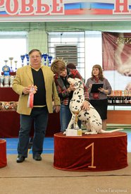 14.jpg (81.31 КБ, Просмотров: 5343) 14.jpg