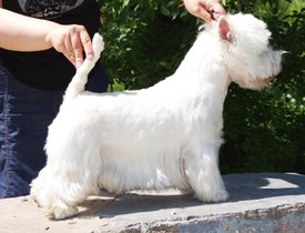 15.jpg (526.57 КБ, Просмотров: 13789) 15.jpg