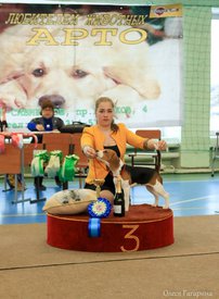 17.jpg (76.09 КБ, Просмотров: 5343) 17.jpg