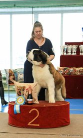 18.jpg (59.17 КБ, Просмотров: 5343) 18.jpg