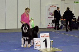 1HAFkr52harJA.jpg (68.68 КБ, Просмотров: 1838) 1HAFkr52harJA.jpg