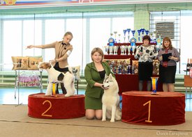 2.jpg (175.53 КБ, Просмотров: 5343) 2.jpg