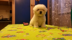 2.jpg (152.36 КБ, Просмотров: 1342) 2.jpg