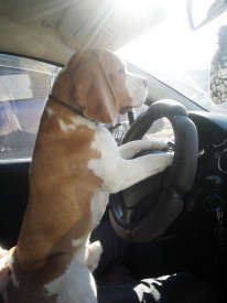 2013-10-13-704.jpg (255.4 КБ, Просмотров: 2517) 2013-10-13-704.jpg