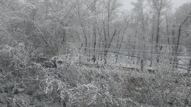 20140507_084129.jpg