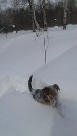 20180313_135041_10_.jpg