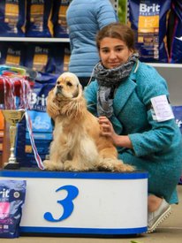 20180523_152354.jpg (462.78 КБ, Просмотров: 6798) 20180523_152354.jpg