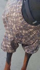 20180908_132354.jpg (422.34 КБ, Просмотров: 4475) 20180908_132354.jpg