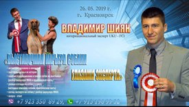 20190506_094951.jpg (455.67 КБ, Просмотров: 5308) 20190506_094951.jpg