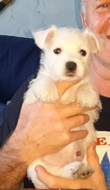 20200210_221609.jpg (44.92 КБ, Просмотров: 2098) 20200210_221609.jpg