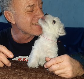 20200210_222111.jpg (60.54 КБ, Просмотров: 2098) 20200210_222111.jpg