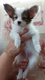 20210711_152243испр.jpg (249.88 КБ, Просмотров: 6943) 20210711_152243испр.jpg