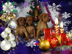 203816490495_e42b2fc71442babfdcfbd0e34a7cbe6f.jpg (446.51 КБ, Просмотров: 1793) 203816490495_e42b2fc71442babfdcfbd0e34a7cbe6f.jpg