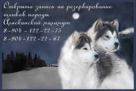 22222.jpg (82.58 КБ, Просмотров: 2534) 22222.jpg