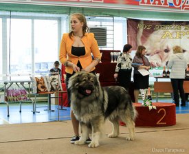 24.jpg (188.56 КБ, Просмотров: 5343) 24.jpg