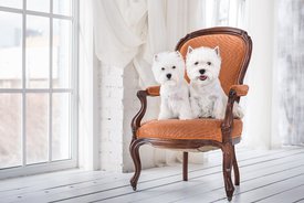 26.jpg (105.21 КБ, Просмотров: 2025) 26.jpg