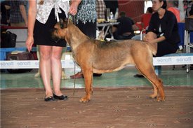 32aebd7e46b8.jpg (60.65 КБ, Просмотров: 8503) 32aebd7e46b8.jpg