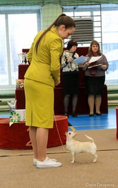 33.jpg (66.66 КБ, Просмотров: 5343) 33.jpg