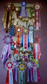 3BYb4UfAQ5Y.jpg (122 КБ, Просмотров: 1838) 3BYb4UfAQ5Y.jpg