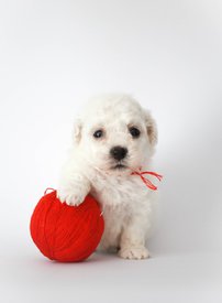 3VoDVX4ErOY.jpg (55.98 КБ, Просмотров: 3702) 3VoDVX4ErOY.jpg