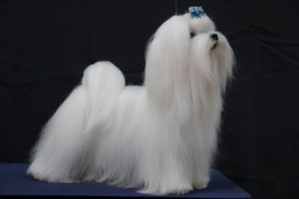 3c9a2dd9bfa701d6f51420961cde2c7c.jpg (27.97 КБ, Просмотров: 6236) 3c9a2dd9bfa701d6f51420961cde2c7c.jpg