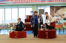 4 группа.jpg (163.29 КБ, Просмотров: 5608) 4 группа.jpg