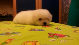 4.jpg (111.78 КБ, Просмотров: 1342) 4.jpg