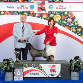 43738047_2403455456349016_5738565177813499904_n.jpg (96.3 КБ, Просмотров: 3465) 43738047_2403455456349016_5738565177813499904_n.jpg