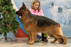 46f123bcb1e9.jpg (126.65 КБ, Просмотров: 1561) 46f123bcb1e9.jpg