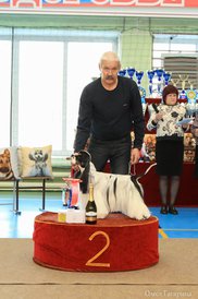 5.jpg (72.9 КБ, Просмотров: 5343) 5.jpg