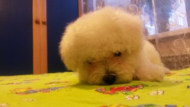 5.jpg (108.34 КБ, Просмотров: 1342) 5.jpg