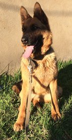 53B0F7B6-6B17-46AB-A2F6-738F280A55FE.jpeg (299.23 КБ, Просмотров: 3193) 53B0F7B6-6B17-46AB-A2F6-738F280A55FE.jpeg