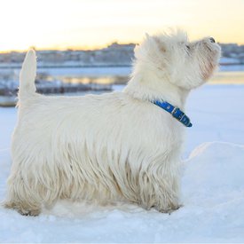 5cab4247-8c41-4298-bec2-c3cc30f93274.jpg (89.62 КБ, Просмотров: 1536) 5cab4247-8c41-4298-bec2-c3cc30f93274.jpg