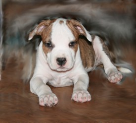 6.jpg (93.43 КБ, Просмотров: 1725) 6.jpg