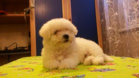 6.jpg (118.93 КБ, Просмотров: 1342) 6.jpg