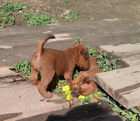 62053681_2417798534907896_375841395388186624_n.jpg (115.06 КБ, Просмотров: 2222) 62053681_2417798534907896_375841395388186624_n.jpg