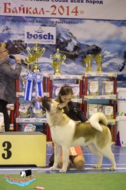 6521423d6a16.jpg (84.33 КБ, Просмотров: 6030) 6521423d6a16.jpg