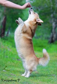 68403fdff24965f4886ca7a2cf5b96c0.jpg (241.89 КБ, Просмотров: 26513) 68403fdff24965f4886ca7a2cf5b96c0.jpg