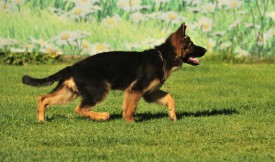 6889f96be05c.jpg (89.53 КБ, Просмотров: 1561) 6889f96be05c.jpg