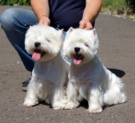 7.jpg (584.79 КБ, Просмотров: 13789) 7.jpg