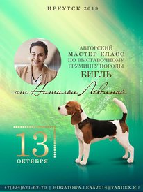 70984121_2417817071598939_1298566779076870144_n.jpg (48.99 КБ, Просмотров: 8532) 70984121_2417817071598939_1298566779076870144_n.jpg